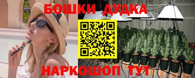 индика Бузулук