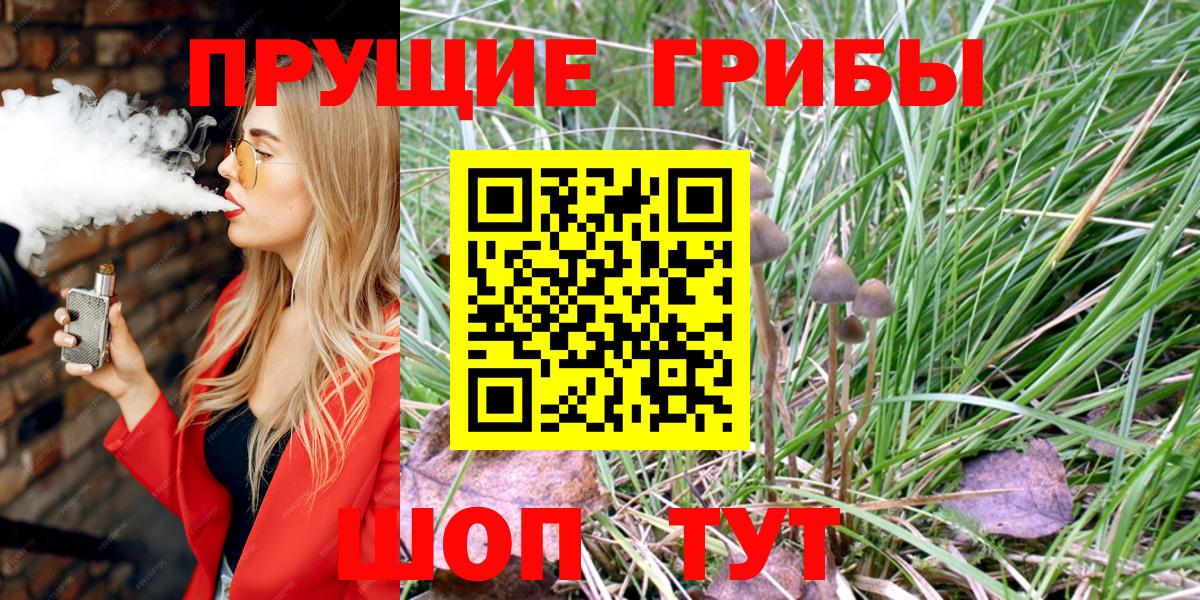 Псилоцибиновые грибы Psilocybe  Вход с VPN  Хабаровск 